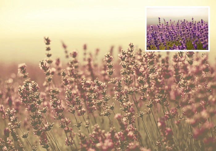 Desert Dust Photoshop Actions